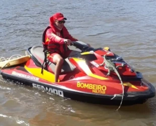 Bombeiros dão carona à iguana no Rio Araguaia