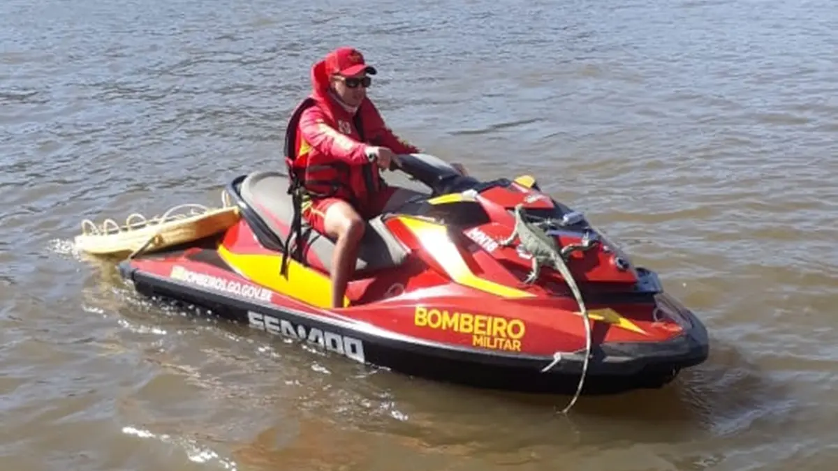 Bombeiros dão carona à iguana no Rio Araguaia
