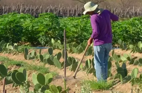 Captura de Tela 2025-07-27 às 22.13.08