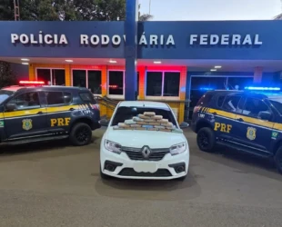 PRF apreende 23 kg de skunk em Jataí (GO)
