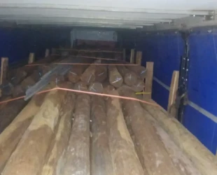 PRF apreende 40 toneladas de madeira irregular na BR-153, em Goiás