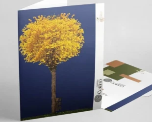 Cartório lança projeto cultural com exposição de Siron Franco