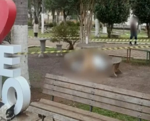 Adolescente de 15 anos é apreendido suspeito de esfaquear morador de rua