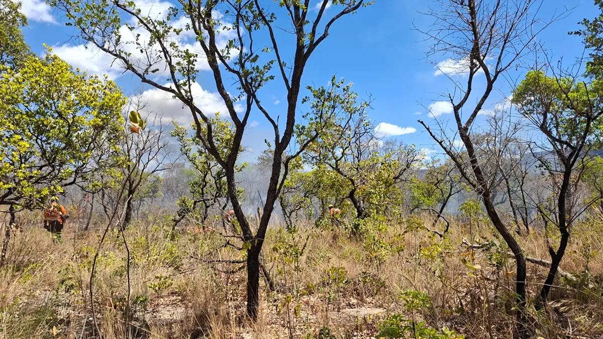 Bombeiros e brigadistas controlam incêndio em área próxima ao Parque Estadual Terra Ronca