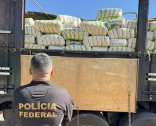 PF doa quase 40 toneladas de arroz apreendido durante ação policial em Goiás