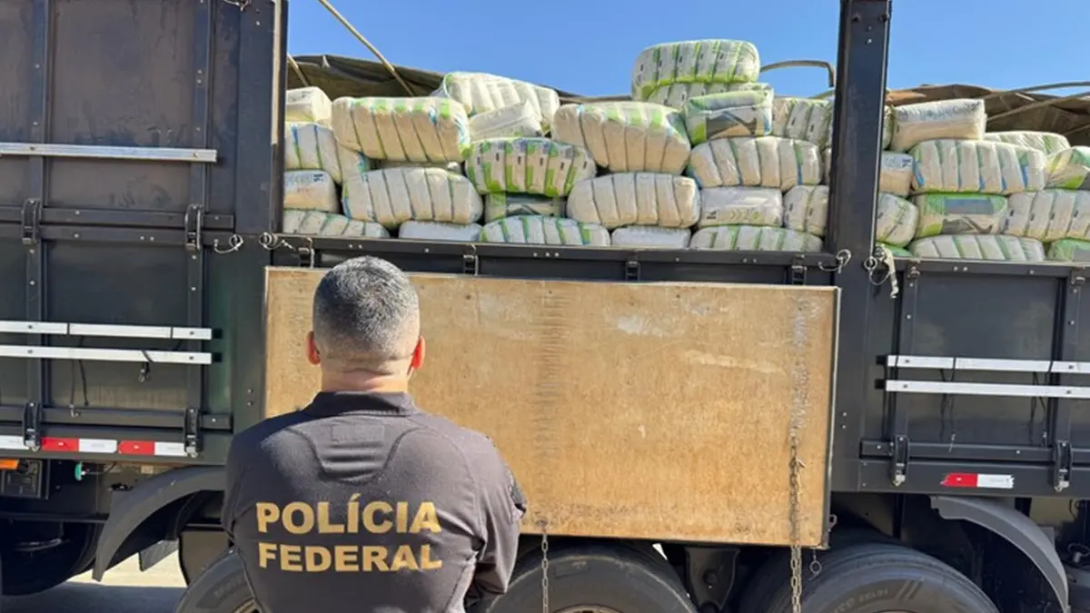 PF doa quase 40 toneladas de arroz apreendido durante ação policial em Goiás