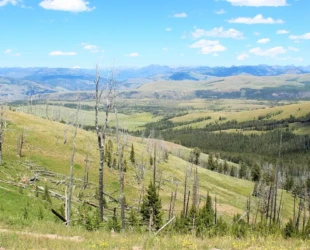 Criança morre e 3 familiares ficam feridos em queda de avião nas montanhas de Wyoming