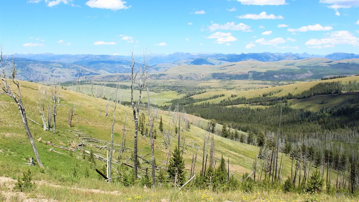 Criança morre e 3 familiares ficam feridos em queda de avião nas montanhas de Wyoming