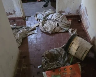 Abrigo clandestino era sentença de morte para cães no DF