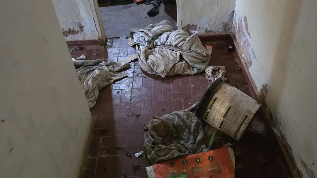 Abrigo clandestino era sentença de morte para cães no DF