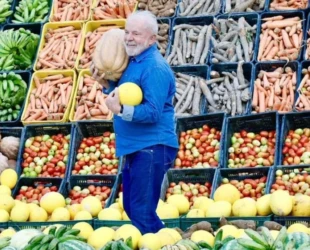 Lula-alimentos-1-960x540