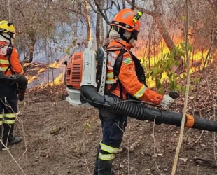 Bombeiros de Goiás controlam maior incêndio florestal do País neste ano