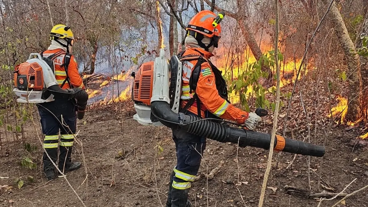 Bombeiros de Goiás controlam maior incêndio florestal do País neste ano