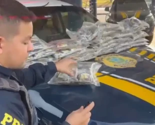 PRF apreende 31 kg de haxixe escondidos em caminhonete em Itumbiara