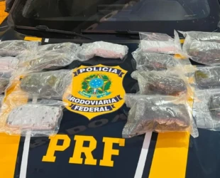 Ação integrada apreende 20 kg de haxixe em Hidrolândia