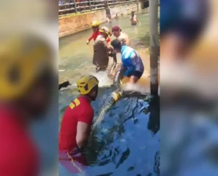 Cobra sucuri de 5 metros assusta turistas em área de banho de hotel em Rio Quente