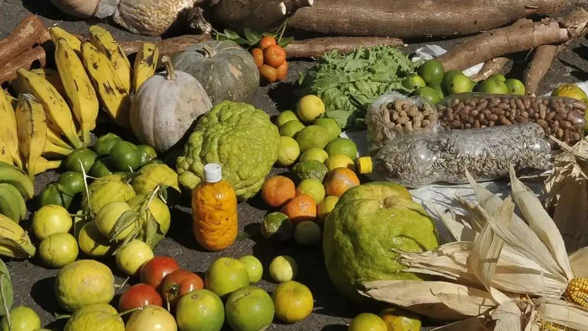 Goiânia terá 1ª Feira da Agricultura Familiar e Economia Criativa