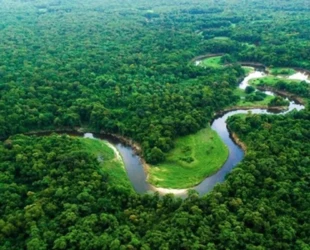 COP30: União Europeia concretiza doação de 20 milhões de euros ao Fundo Amazônia