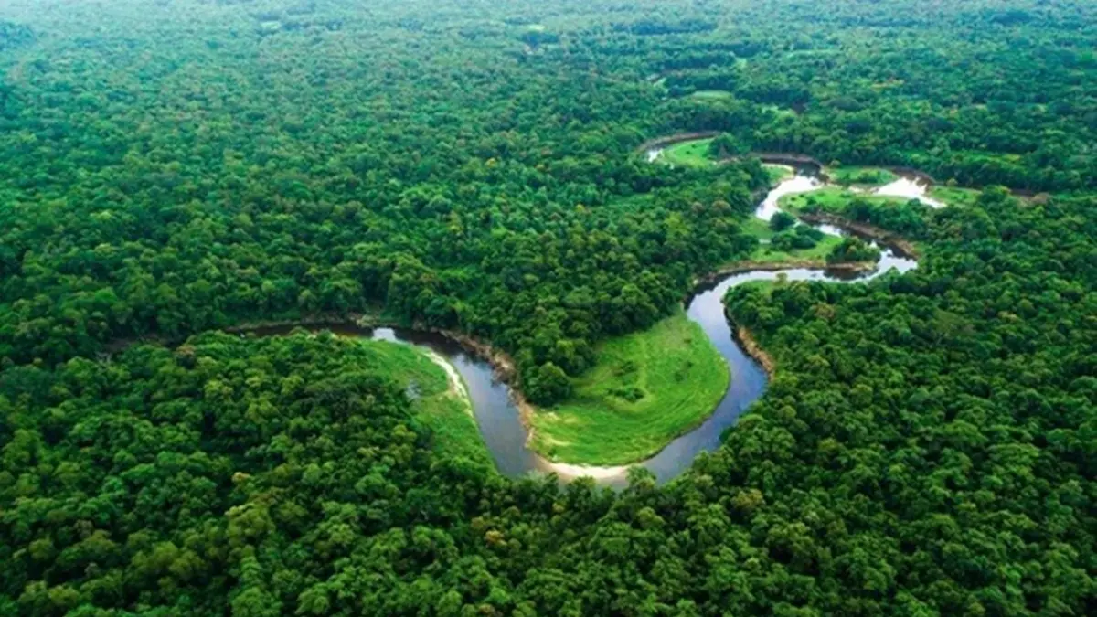 COP30: União Europeia concretiza doação de 20 milhões de euros ao Fundo Amazônia