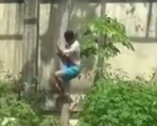 Homem morre após invadir jaula de leoa em João Pessoa (PB)