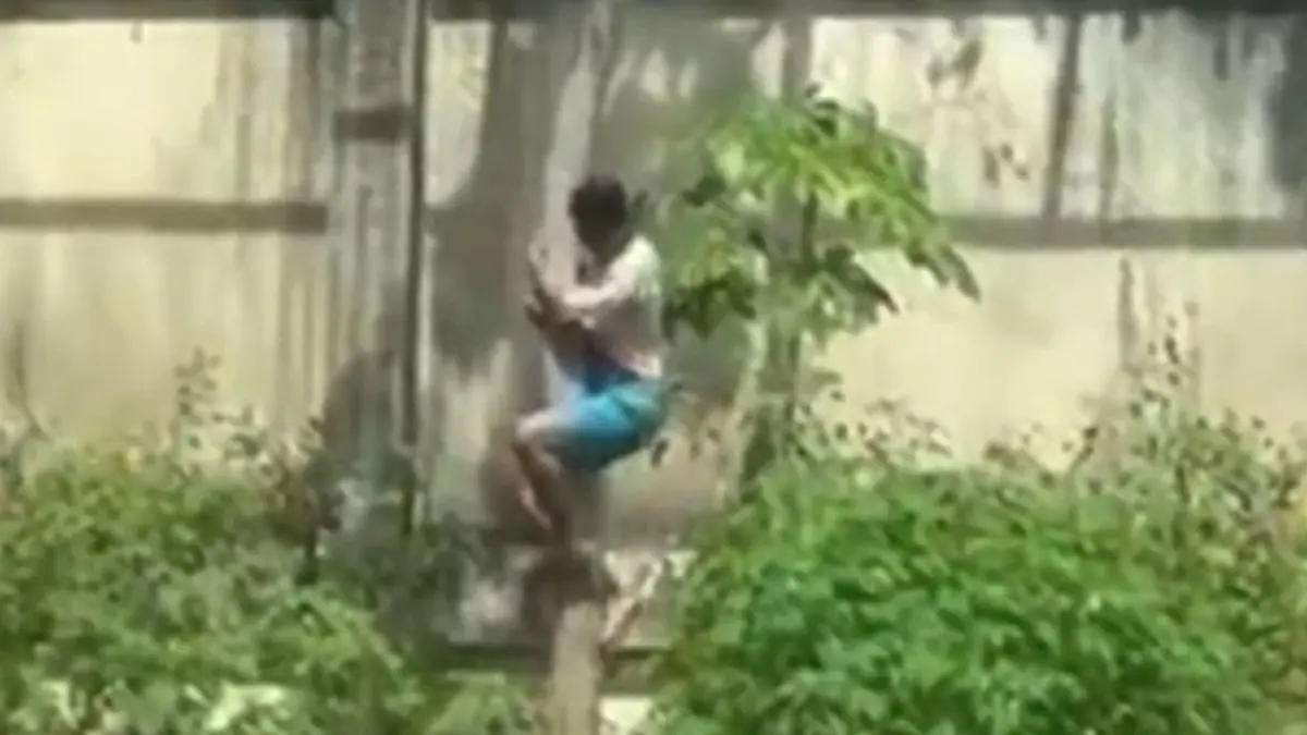 Homem morre após invadir jaula de leoa em João Pessoa (PB)