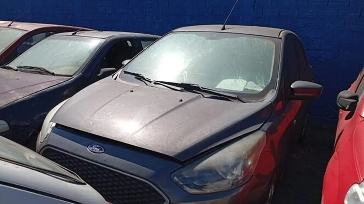 TJGO realiza leilão com mais de 400 veículos