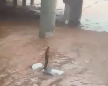 Captura de Tela 2025-12-06 às 19.46.27