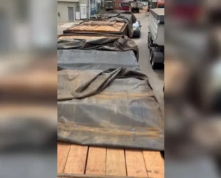 Caminhoneiro tem carga de madeira apreendida em Jussara por diferença nos documentos