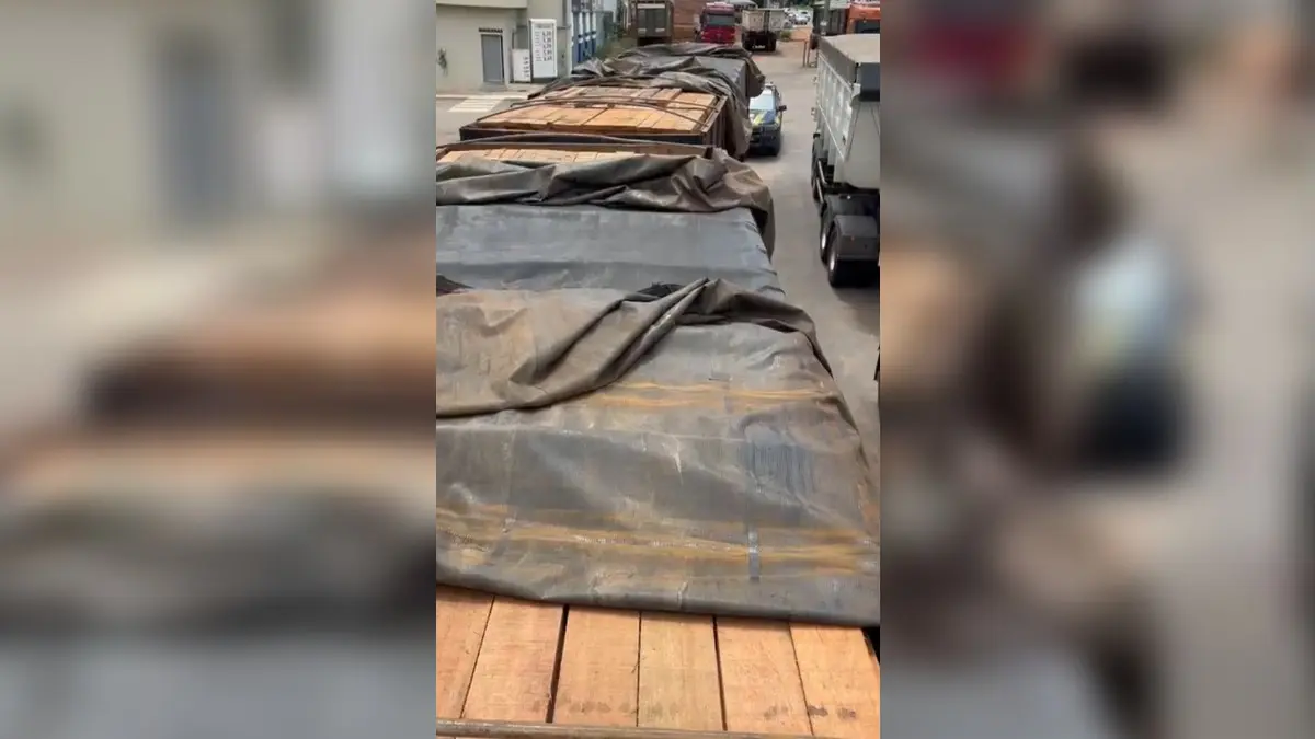 Caminhoneiro tem carga de madeira apreendida em Jussara por diferença nos documentos