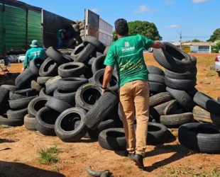 Goiânia terá mutirão para recolhimento de pneus inservíveis em 21 de janeiro