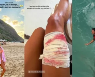 Captura de Tela 2026-01-11 às 01.17.02