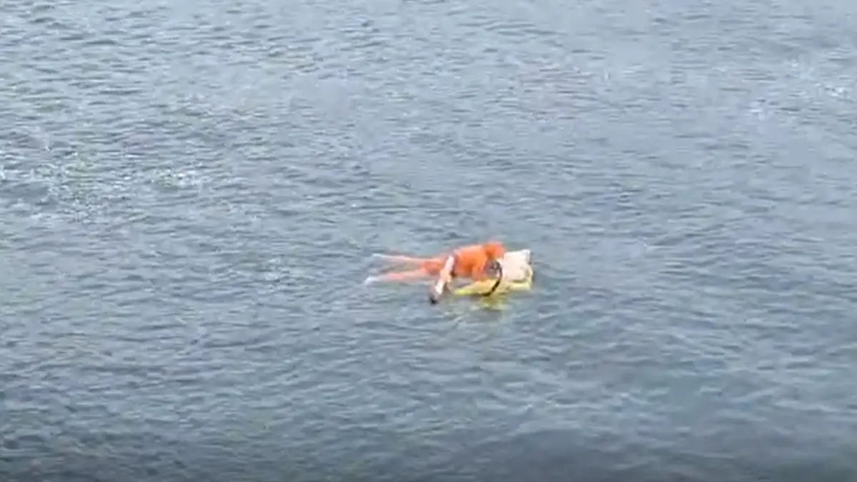 Pescador sobrevive a naufrágio ao se agarrar à porta de geladeira