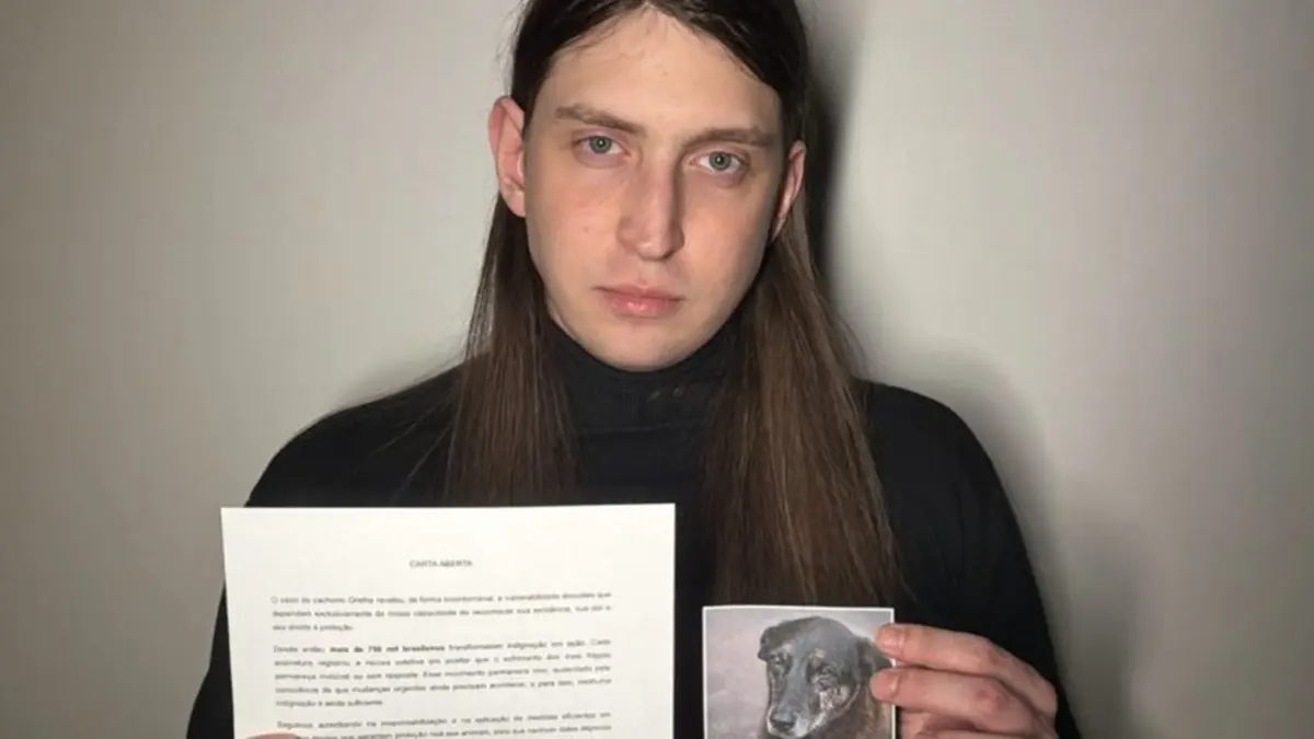 Felca propõe disque-denúncia nacional para situações de maus-tratos contra animais