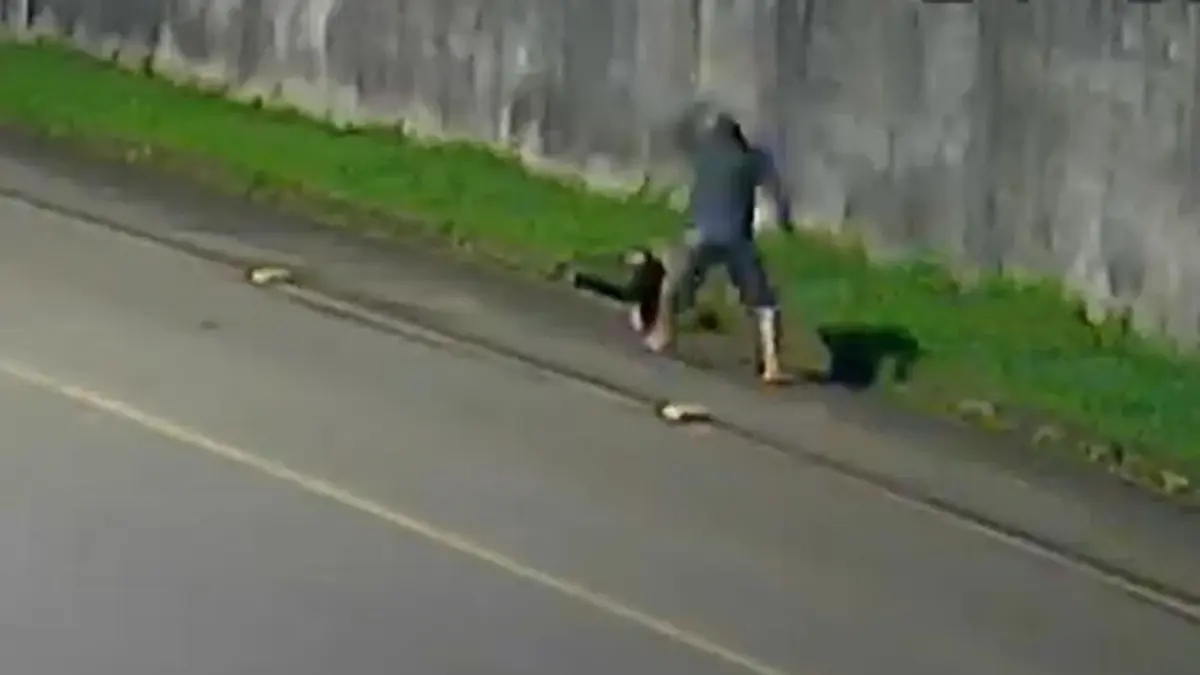 Homem agride tamanduá com pauladas