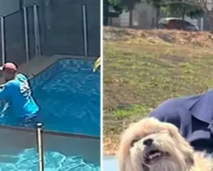 Captura de Tela 2026-03-29 às 09.35.49