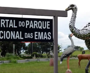 Goiás ativa 33 pontos de Wi-Fi público