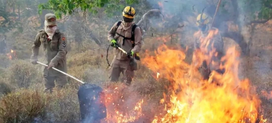 Goiás busca projetos que visam prevenir incêndios no Cerrado
