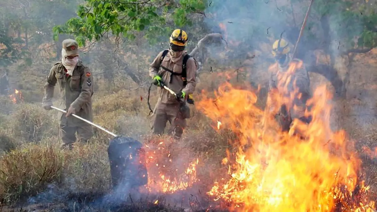 Goiás busca projetos que visam prevenir incêndios no Cerrado