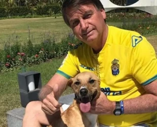 Vira-latas caramelo de Bolsonaro atacam policiais que monitoram prisão domiciliar do ex-presidente