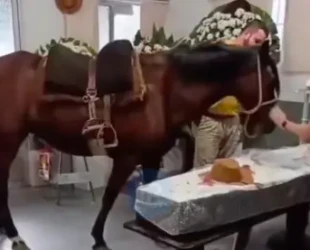 Captura de Tela 2026-04-28 às 21.48.35