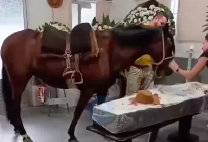 Captura de Tela 2026-04-28 às 21.48.35