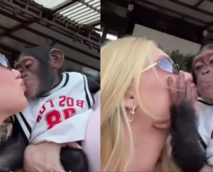 virginia-beija-macaco-em-viagem-3271817-1024x614