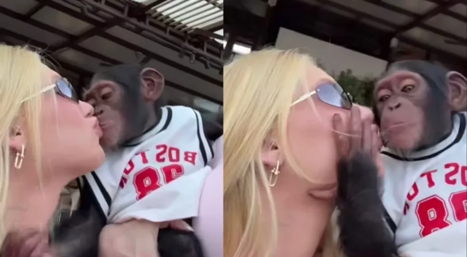 virginia-beija-macaco-em-viagem-3271817-1024x614