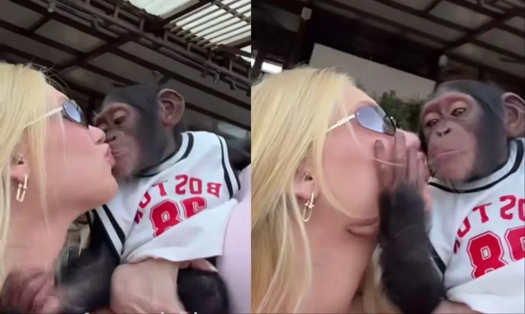virginia-beija-macaco-em-viagem-3271817-1024x614