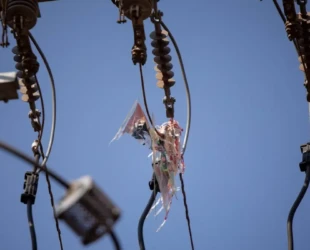 Pipas causam mil ocorrências na rede elétrica em Goiás