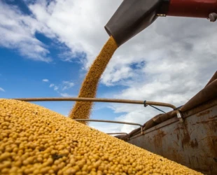 Agro-Foto-Freepik-J9Tzgo.jpeg