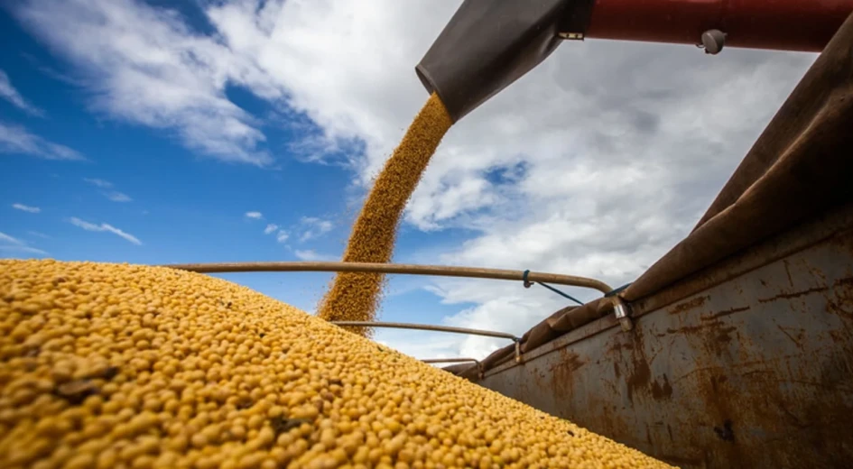 Agro-Foto-Freepik-J9Tzgo.jpeg