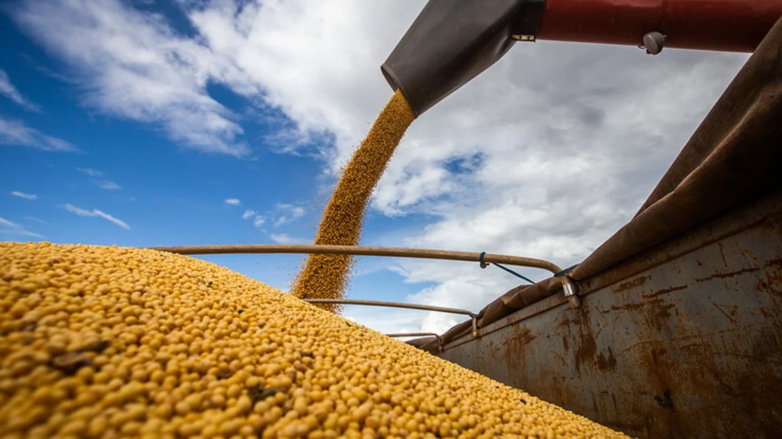 Agro-Foto-Freepik-J9Tzgo.jpeg