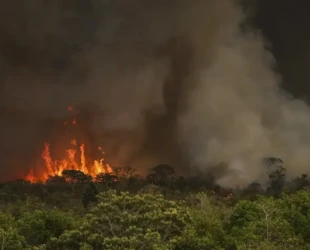 Governo de Goiás decreta emergência ambiental por prevenção a incêndios florestais