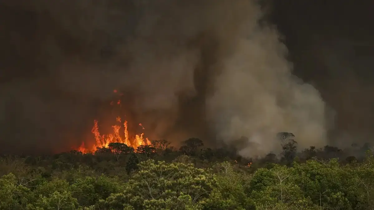 Governo de Goiás decreta emergência ambiental por prevenção a incêndios florestais